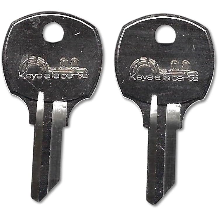 Sentry Safe Replacement Key - Code C010B - Precision-Cut for Fire, Cash, and Lock Box Models - Durable Nickel-Plated Brass - Lost Key Replacement C1B-C175B