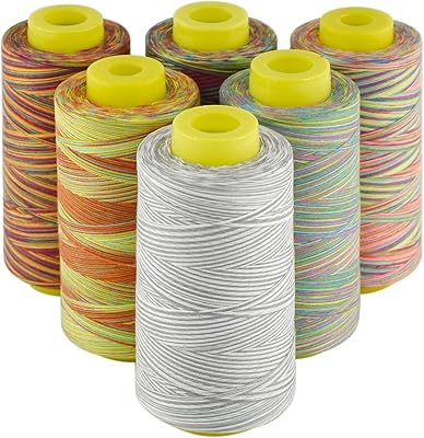 Rainbow Variegated Polyester Serger Sewing Thread, 6 Cones of 3000 Yards Each, All-Purpose for Sewing Machine, Overlock, Quilting, Hand Embroidery,40S2